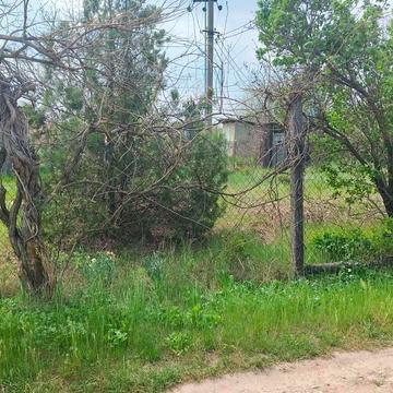 Нова долина, Одеський, Одеська область 8000.0 USD