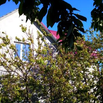 Продажа дома в Новомосковске рядом с рекой.13.01.26.