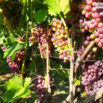 Продаж 5к Дім Комарова вулиця