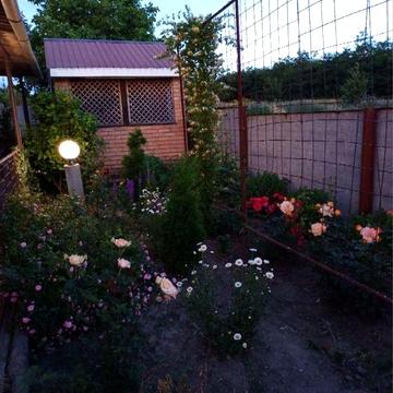 Продаж будинку в с. Клинці