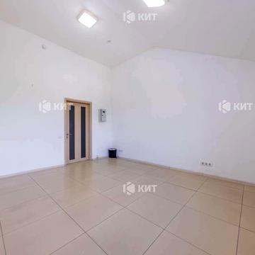 Шевченка вул., 146