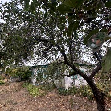 Продаж будинку з великою територією поряд з лісом с. Чорнявка