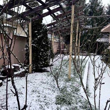 Сдам 1-к домик студийного типа  7 Фонтана Двор Мангал Беседка