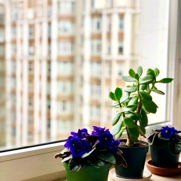 Статусная 3 комн в  Элитном ЖК Дома Каркашадзе. Французск б-р ЖК Будинки Каркашадзе