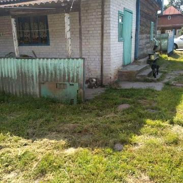 Продам будинок с. Вересня Поліського району