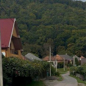 Срочная продажа!!!Дом в снт.Кольчино с выходом  в лес ,5км до Мукачево