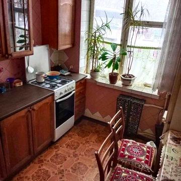 Затишна квартира на Борщагівці Тулузи. Тварини так!