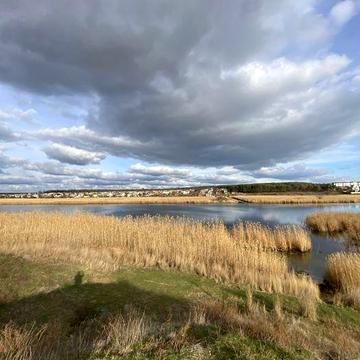 Продаю дом с участком 6с