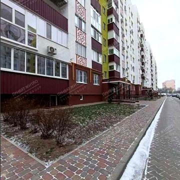 Здам двокімнатну квартиру в новобудові, вул. Полтавська.