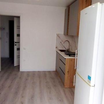 Довгострокова оренда 1к Квартира Стрілецька вулиця ЖК Заря