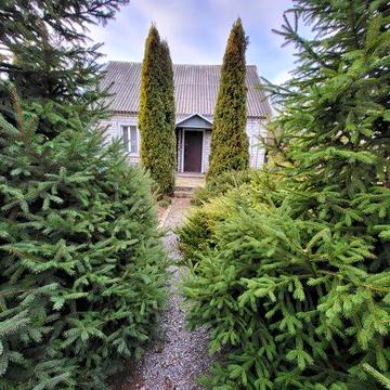 Продам дом с большим земельным участком. Y.A.