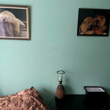 Здам 2-кімн квартиру на соцмісті