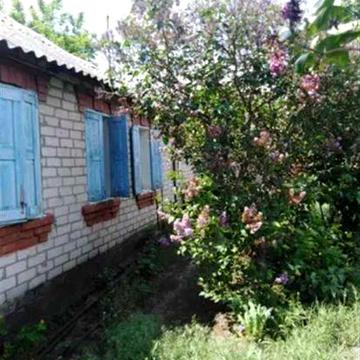 Продам дом в Безлюдовке Учас 25 сот Газовое отопление. Отличная ценаTB