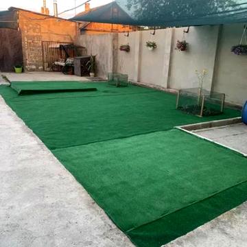 Гастелло, 91