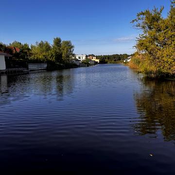 Абрикосова, 9