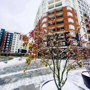 Квартира у розтермінування. Пропозиція від забудовника