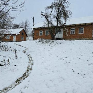 Продається господарство  з великою ділянкою землі