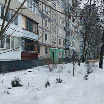 Собственник. Сдам однок. квартиру. Бородинский 4/9эт.