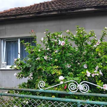 Продаю будинок у горах Карпат  Пасіка  Закарпатської