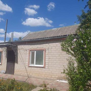 Будинок у Петриківці