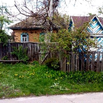 ПРОДАЖ :Будинок в селі Ріпкинського р-ну Чернігівської обл.-НЕДОРОГО