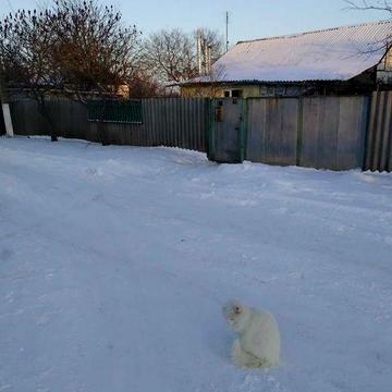 Продаётся дом Богодуховский район