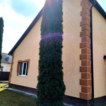 Приватний будинок із земельною ділянкою