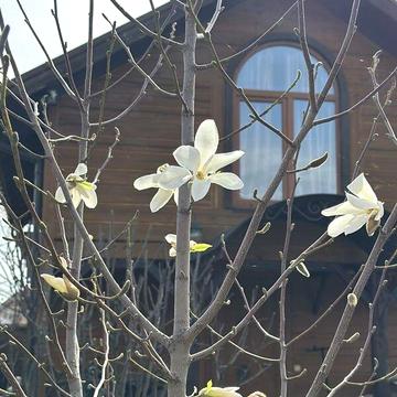 Продаж 3к Дім Левадна (Бортничі) вулиця