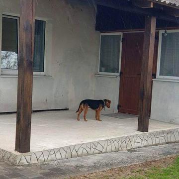 Будинок 5 кімнат + Гараж + господарчі споруди