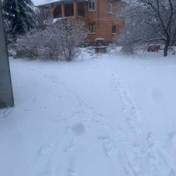 здається будинок