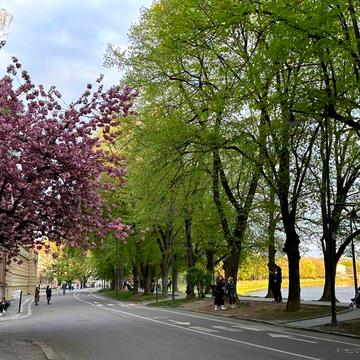 Квартира на Набережній. Історичний центр.