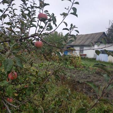 Продається будинок в селі Березівка.