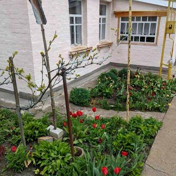 Дом Вербівка городиценській район