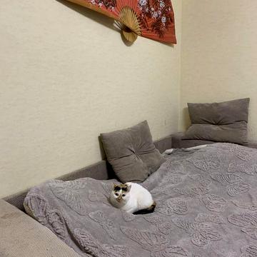 Продам 2-х комн на Солнечной