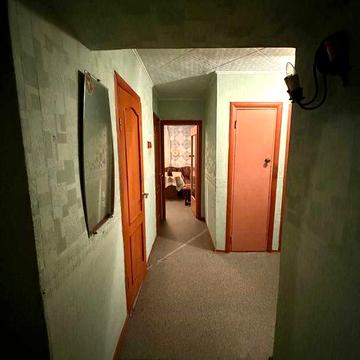 Здам 2 к Ньютона 3/5, 4800