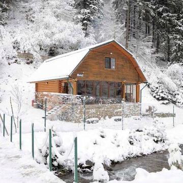 Здається в довгострокову оренду дім в Карпатах (Верхній Бистрий)