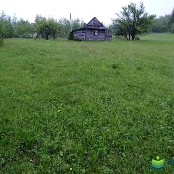 Микуличин, Надвірнянський, Івано-Франківська область 95000.0 USD