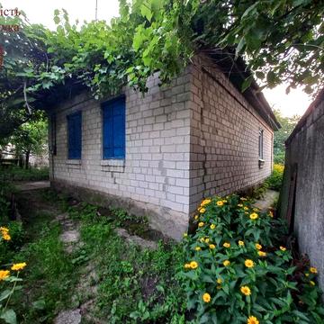 Будинок, Раківка