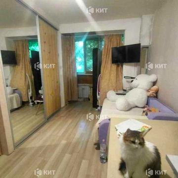 1к.33м2 Салтівка (Салтовка м.Студенческая Гарибальди 11А) 131247