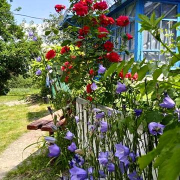 Будинок з земельною ділянкою 32 сотки в селі Медвин, Киівська обл, газ