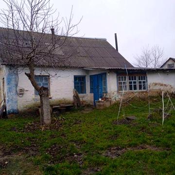 Будинок Розкішна Білоцерківський район