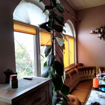 Сдам супер домик Нерубайское 2 к + кухня студия.15 мин от Привоза !