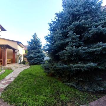 Сдам дом 5 к 300 м ,2 кухни,подвал .Киевский район