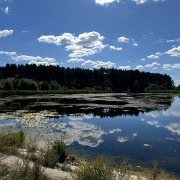 Поляна Лісова, 9