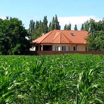 Продається будинок  у місті Берегове , Закарпатська області