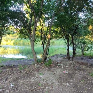 Аренда дома у реки Берегово 8500гр