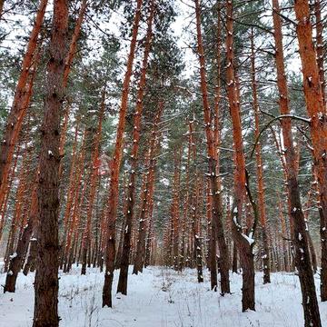 Садовий будинок в казковому місці