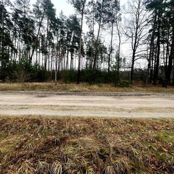 Продам будинок з ділянкою у лісі