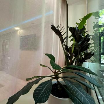 Героїв Крут вул. (Фурманова), 3