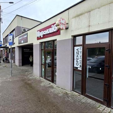 Горбачевського вул., 15